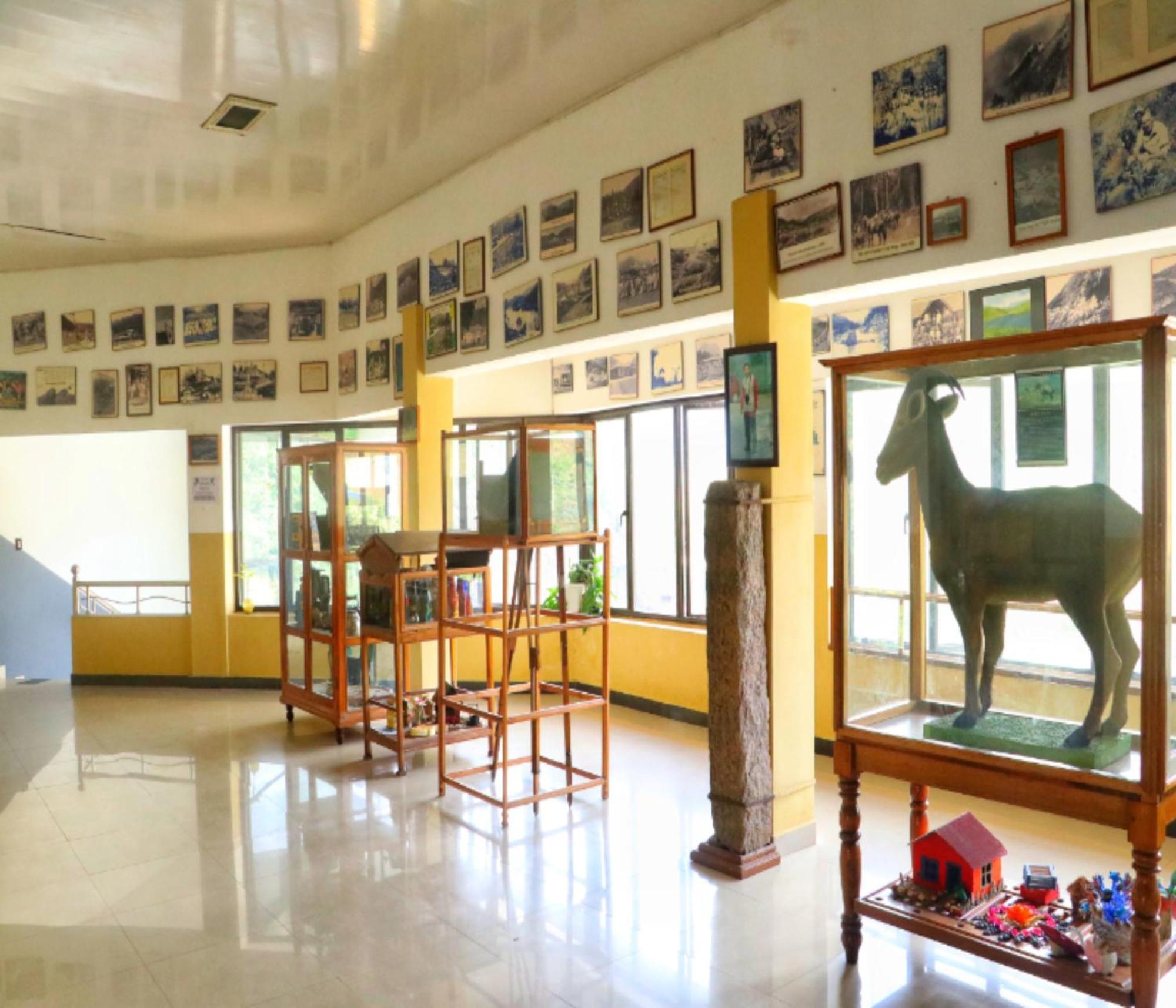 Ac Mist Hotel Munnar Luaran gambar